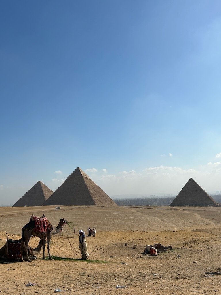 エジプト、トルコ旅行