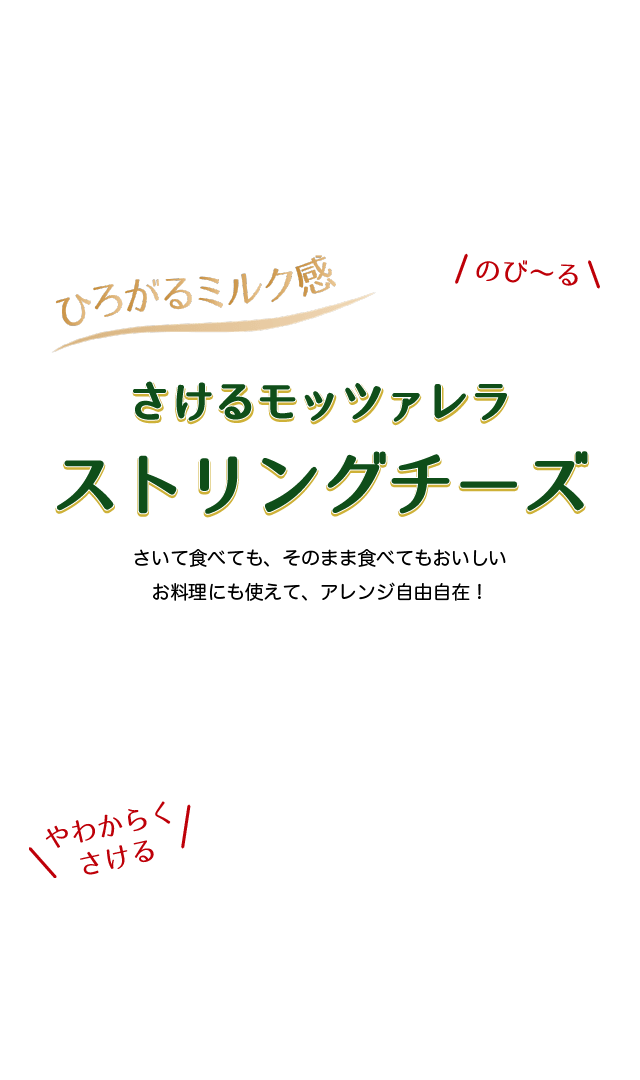 さけるモッツァレラ　ストリングチーズ